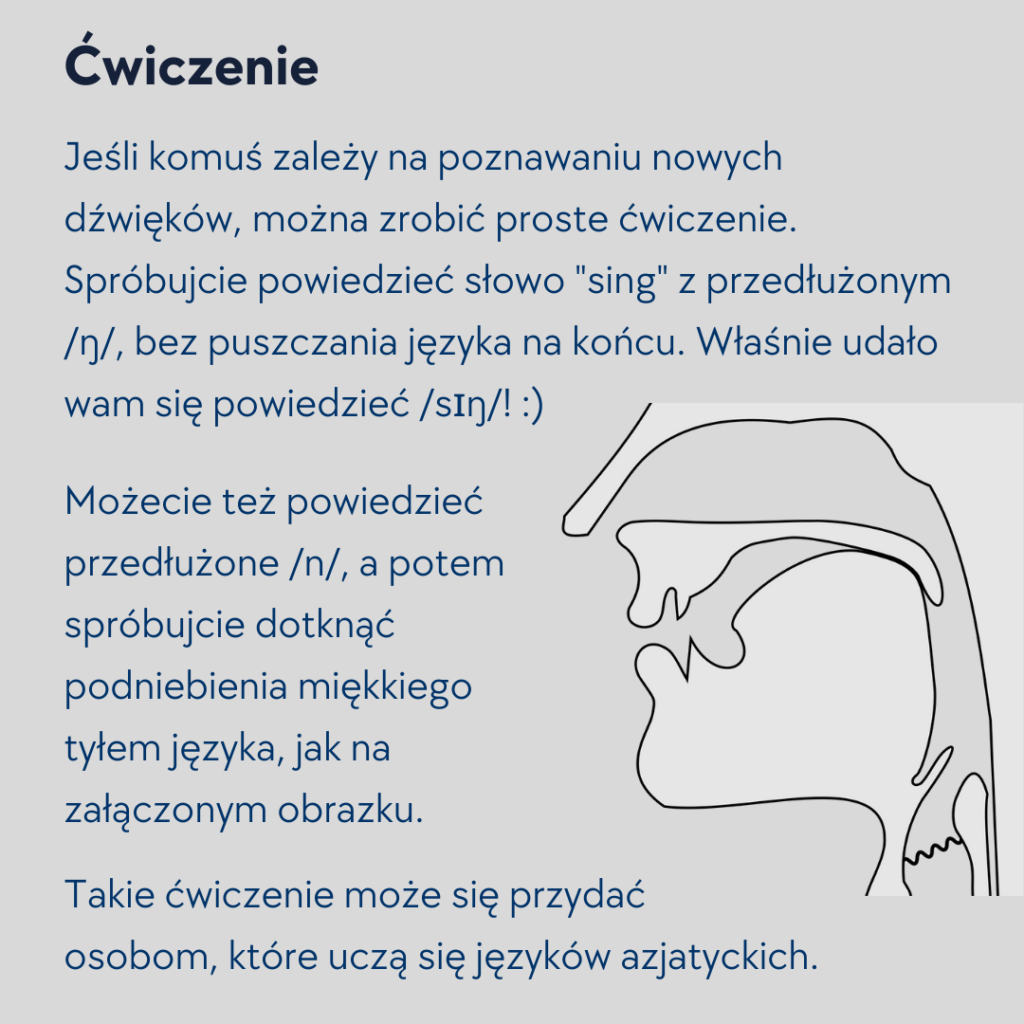 Spółgłoska nosowa tylnojęzykowo-miękkopodniebienna