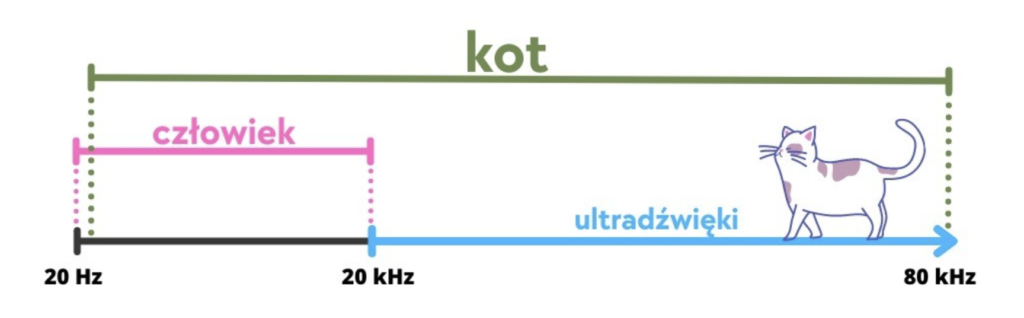 język kotów