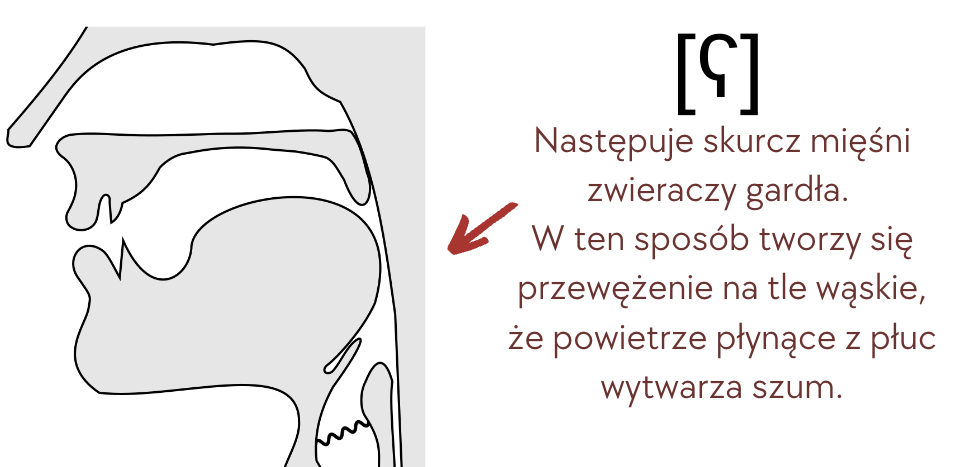 spółgłoski emfatyczne