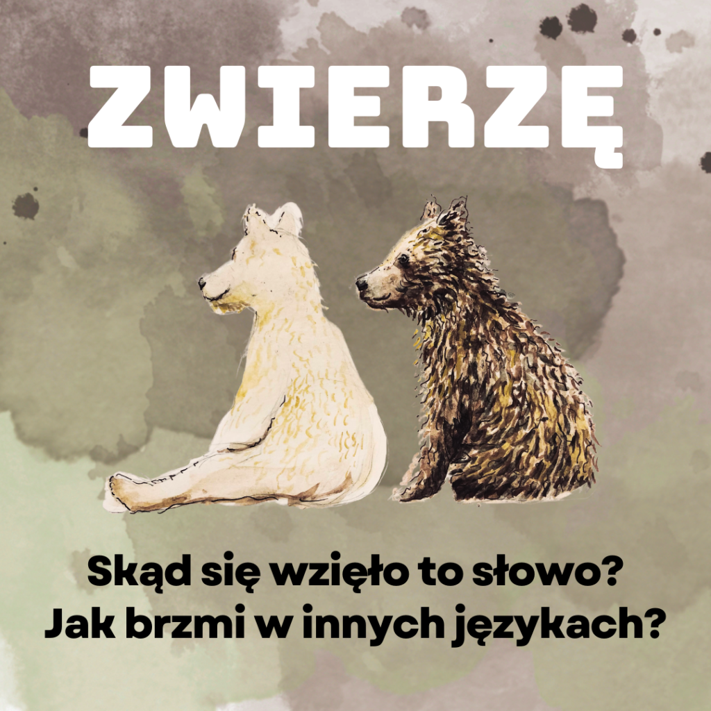 zwierzę etymologia