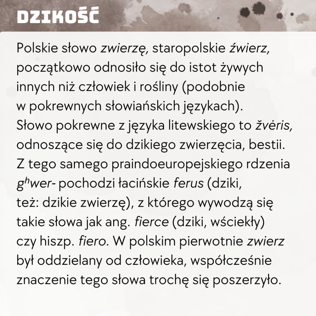 zwierzę etymologia